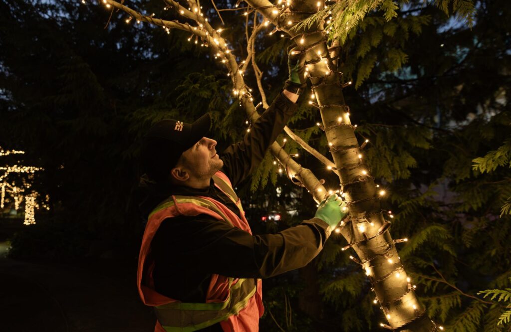 christmas lights commercial grade installation