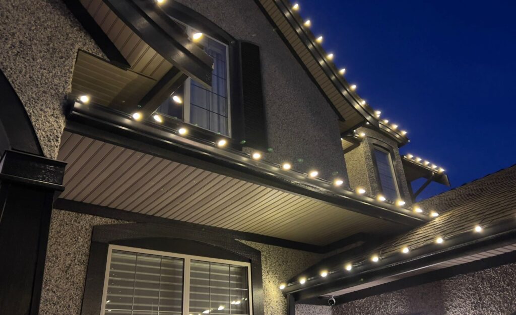 Christmas light installation services
